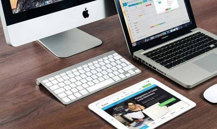 Website types